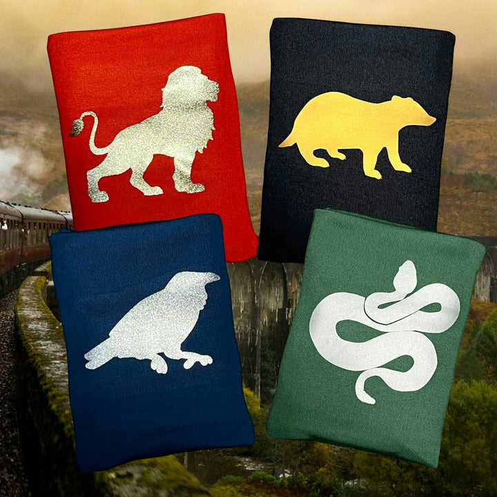 Magic Houses DRYbands